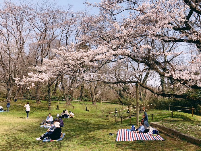 日本理工IT行业招聘简章