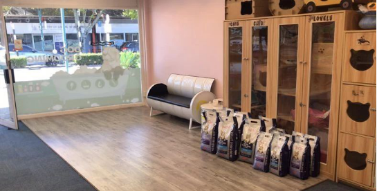 新西兰奥克兰；宠物美容师；3年以上相关经验