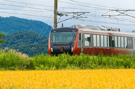 日本水果社 无需面试 100%签证保证！