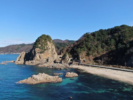 感谢张女士信任，报名日本短期培训转工签