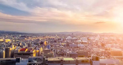 用数据说话！日本真不愧是教育大国！