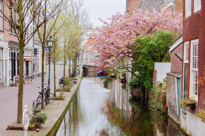 荷兰厨师，可携带家属