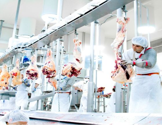 澳大利亚482项目招聘