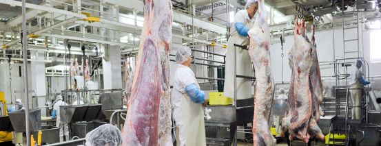 澳大利亚482项目招聘