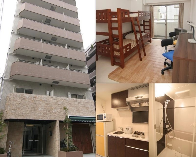 你是哪类留学生？