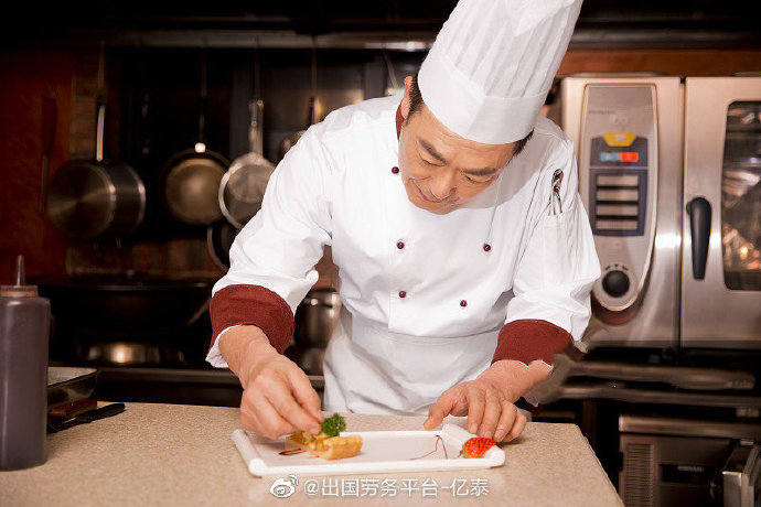 符合什么条件可以去欧洲