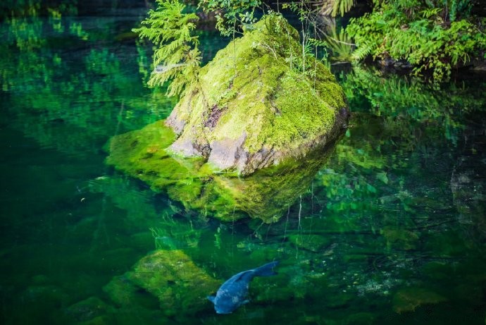 关于日本两个订单（求人票）薪资高，要求低。