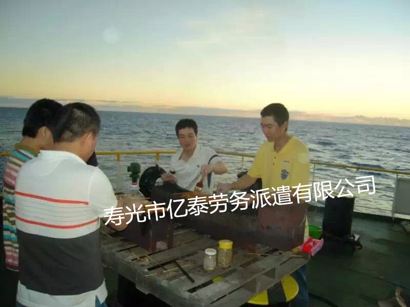 国际货轮案例分享