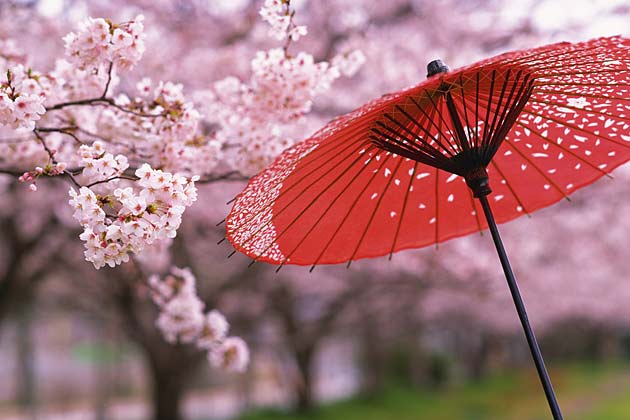 日本温泉酒店招聘简章