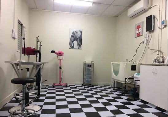 新西兰奥克兰；宠物美容师；3年以上相关经验