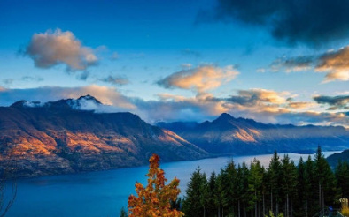 新西兰建筑工项目简章