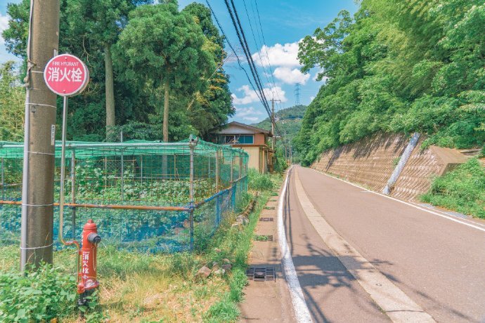 感谢者先生信任，报名日本项目。