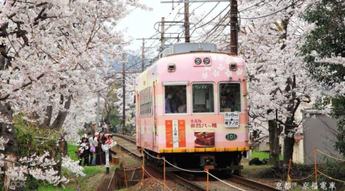 感谢关先生信任，报名日本留学项目。
